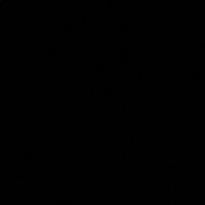 Meet your Posher, Sami